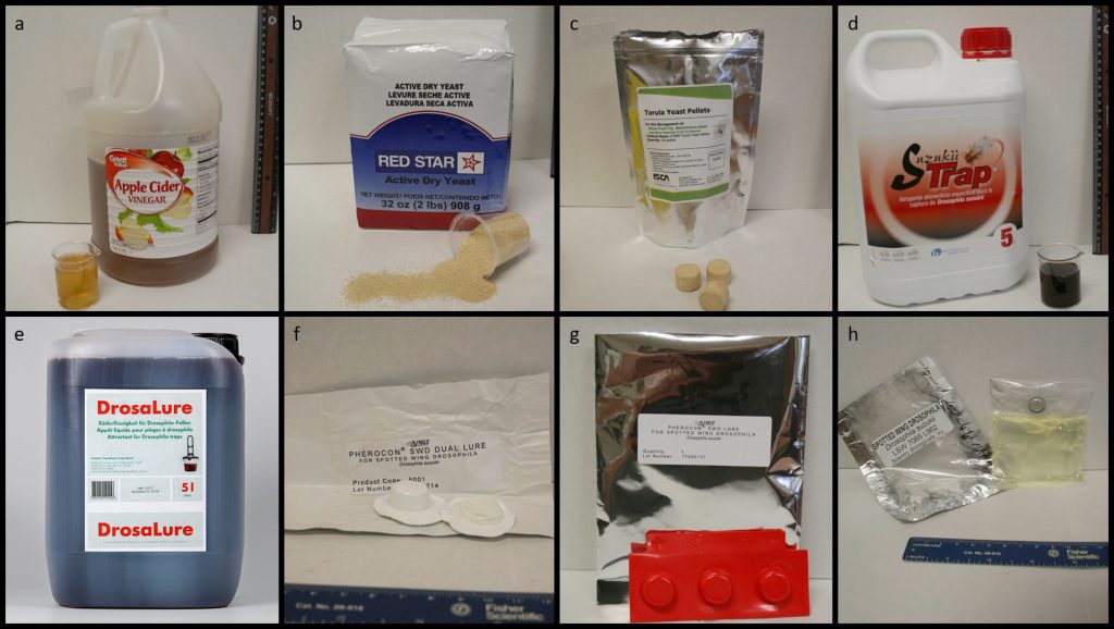 Various baits and lures used to trap adult Drosophila suzukii.